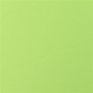 Seat Cover - Apple Green Satin