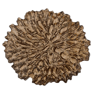 QUICKSAND BROWN CHARGER