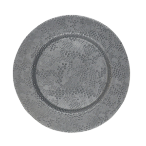 BRAILLE SILVER CHARGER