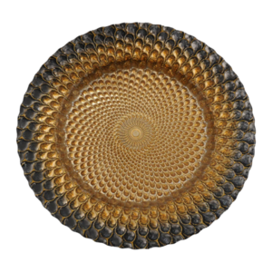 PEACOCK BLACK / GOLD CHARGER