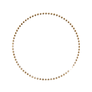 GOLD BEADED CHARGER COLLECTION