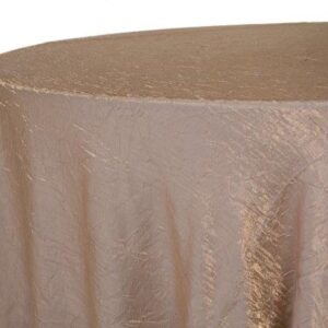 Champagne Gold Bichon